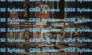 Read more about the article CBSE Class IX (9) Computer Application Syllabus, Check Now & Download (2023-24)