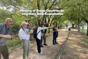 Read more about the article Meeting of Range Countries for Migratory Birds Conservation