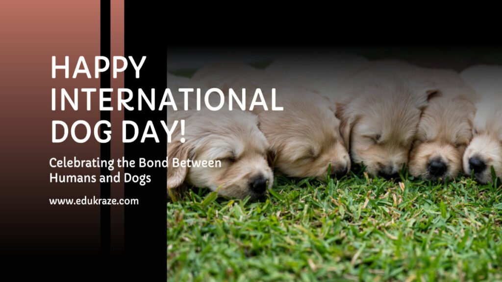 International Dog Day 2023 Celebrating Canine Companionship And