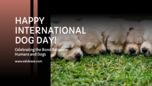 Read more about the article International Dog Day 2023: Celebrating Canine Companionship and Advocating for Animal Welfare