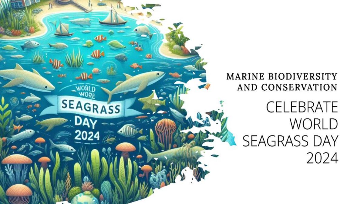 World Seagrass Day 2024 : Celebrating Marine Biodiversity and Conservation