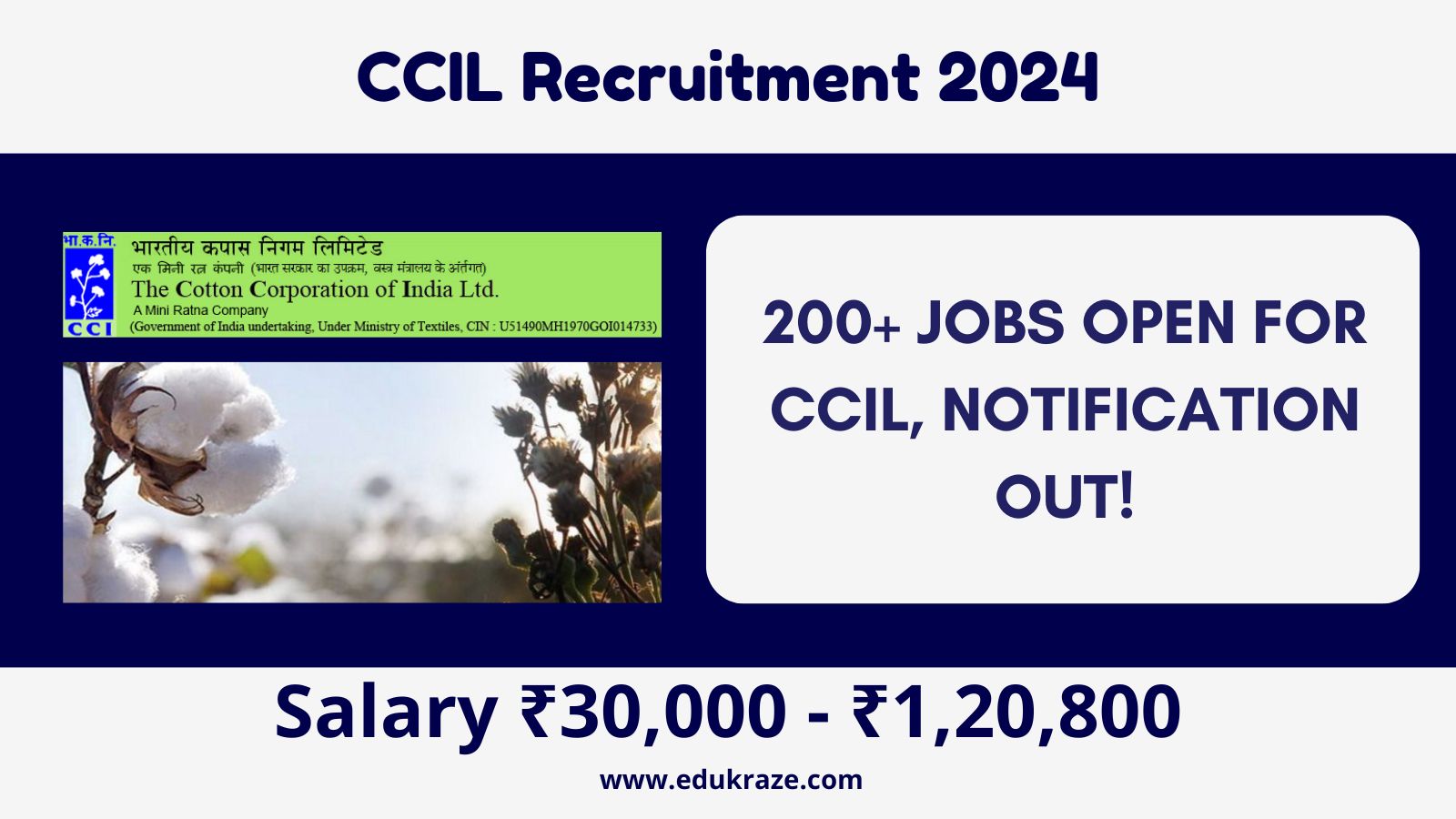 Cotton Corporation of India Ltd. (CCI) Bumper Recruitment out for 200+ Vacancies!