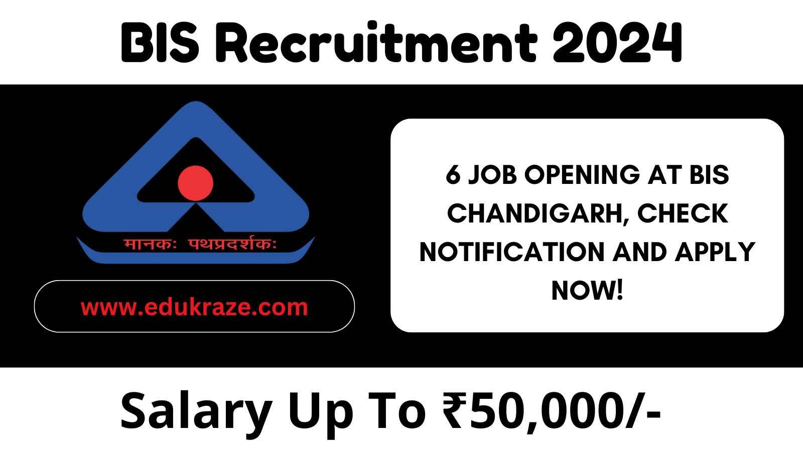 BIS Northern Regional Office Recruitment 2024: Apply for Consultant Positions in Chandigarh