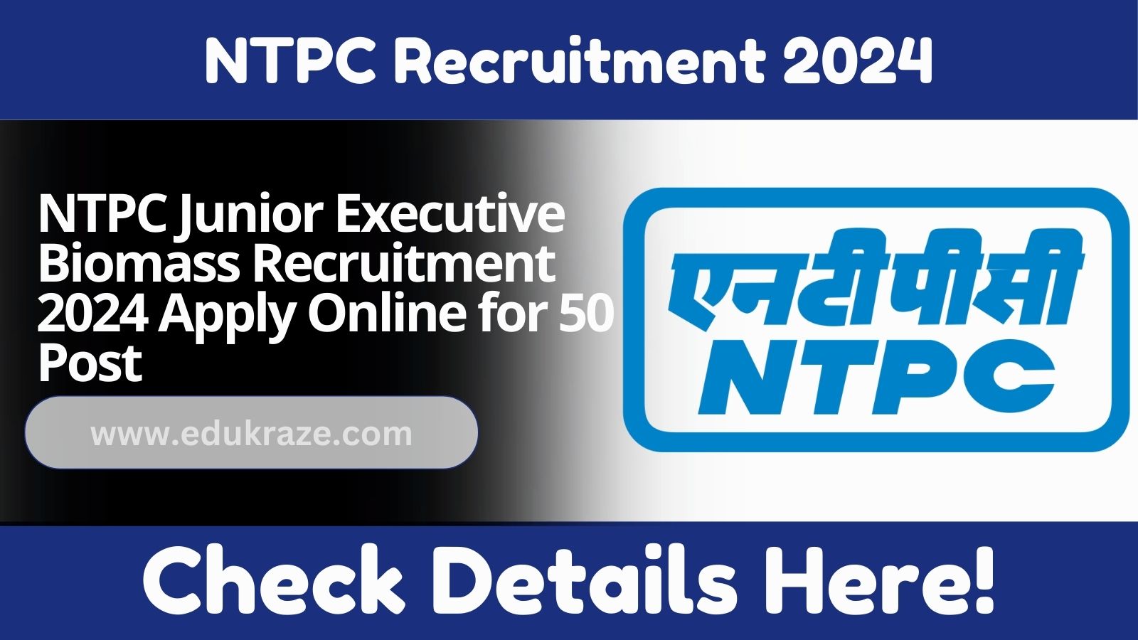 NTPC Junior Executive Recruitment 2024: Apply Online for 50 Posts